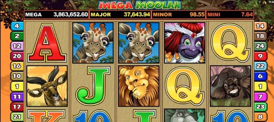 Captura de pantalla del proveedor Microgaming
