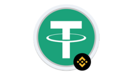 usdt bep2O logo